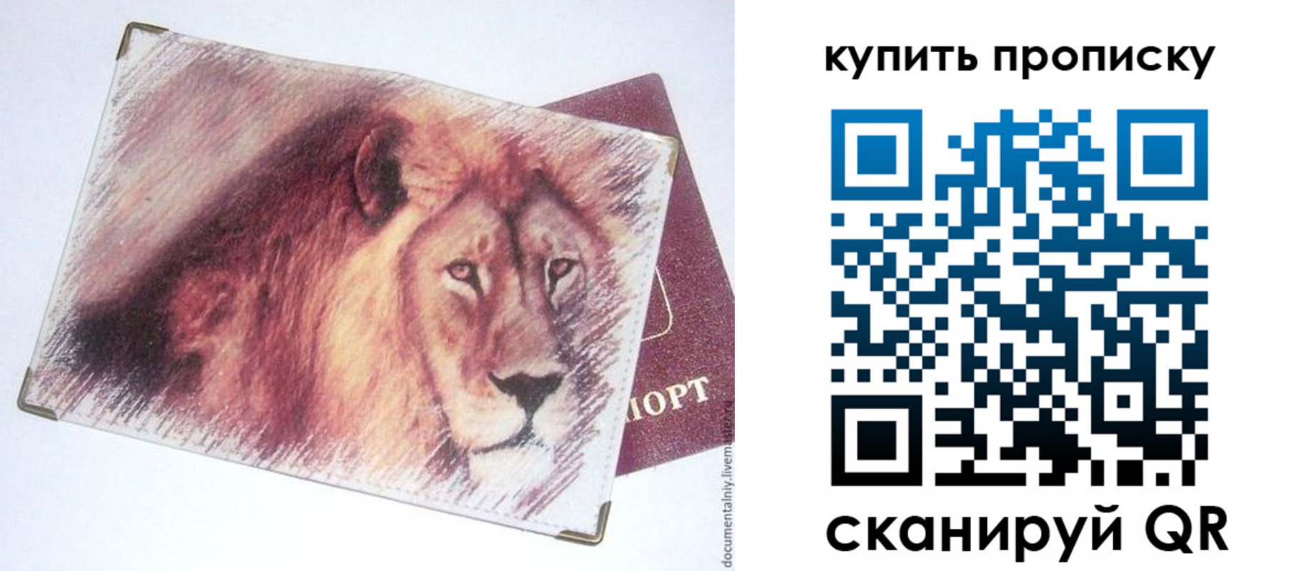 прописка паспорт в Южно-Сухокумске